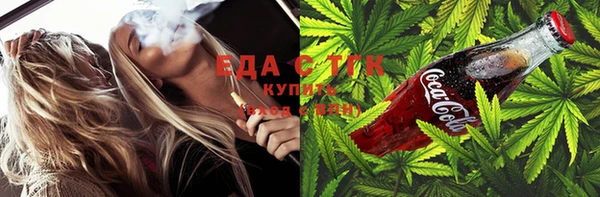 СК Сафоново