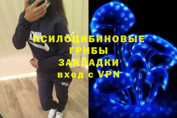 ГАЛЛЮЦИНОГЕННЫЕ ГРИБЫ Абинск