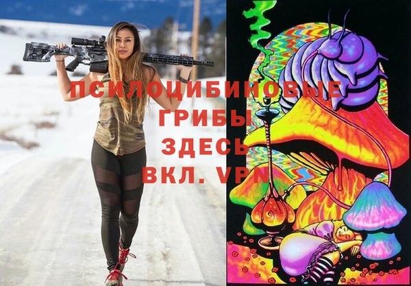 ГАЛЛЮЦИНОГЕННЫЕ ГРИБЫ Абинск