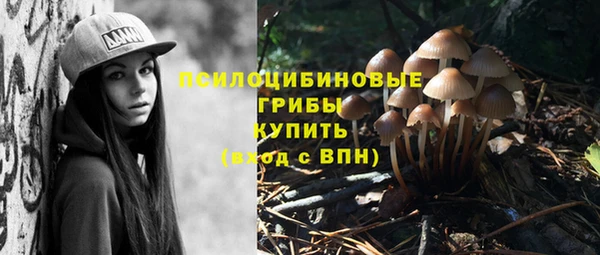 эйфоретик Абдулино