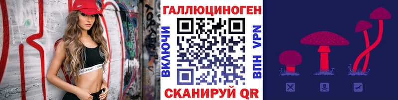 Галлюциногенные грибы Cubensis  хочу   Касли 